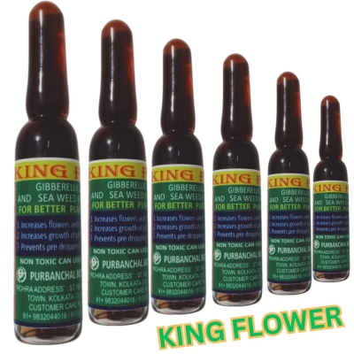 KING FLOWER –  2 ml Ampoule