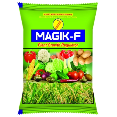 MAGIK-F